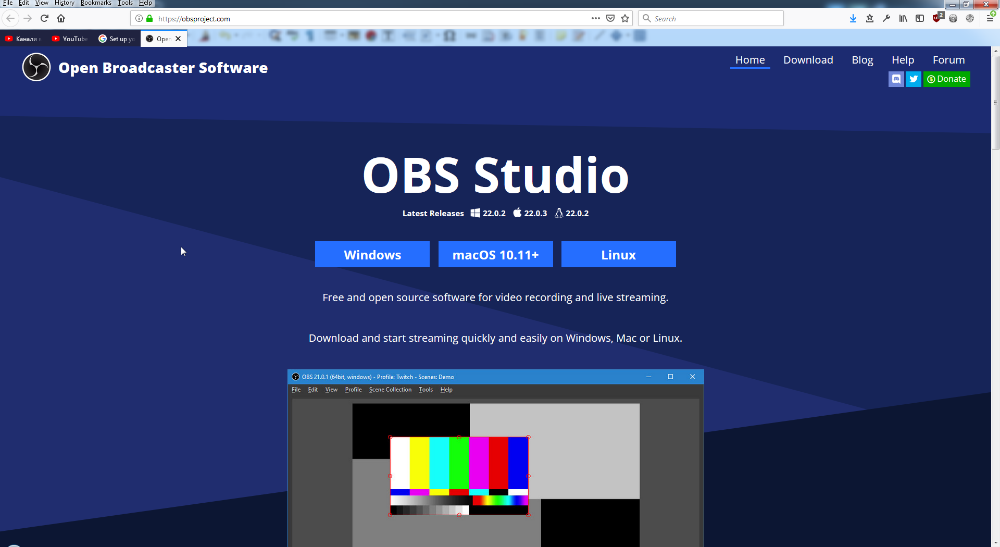 OBS Studio - бесплатный и очень серьезный инструмент. Правда настроек у него много.